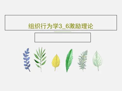 组织行为学3_6激励理论94页PPT
