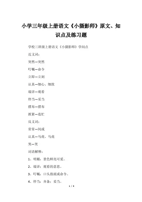 小学三年级上册语文《小摄影师》原文、知识点及练习题