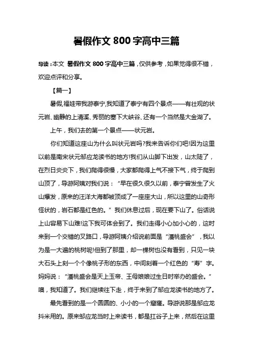 暑假作文800字高中三篇