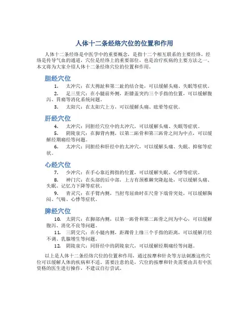 人体十二条经络穴位的位置和作用简介yxp