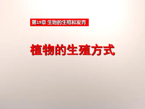 北师大版八年级上册生物  1《植物的生殖方式》 课件  