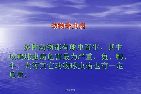 动物球虫病医学PPT