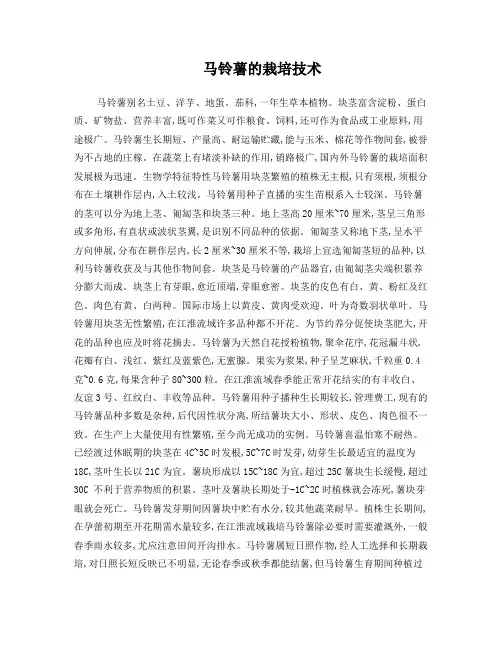 马铃薯的栽培技术