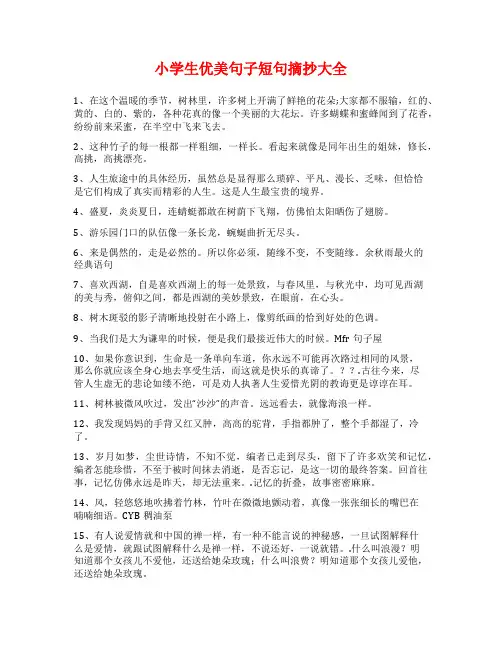 小学生优美句子短句摘抄大全