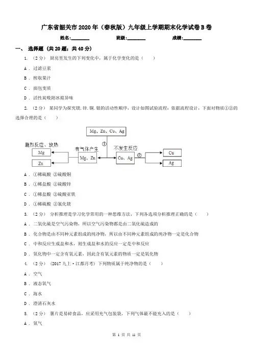 广东省韶关市2020年(春秋版)九年级上学期期末化学试卷B卷