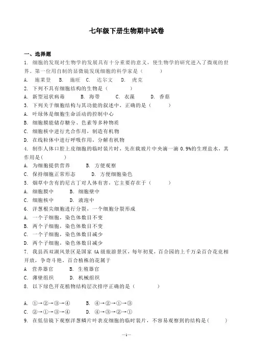 七年级下册生物期中试卷