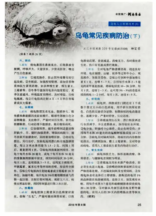 乌龟常见疾病防治(下)