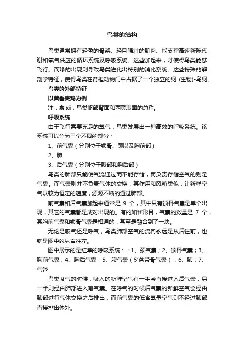 鸟类的结构