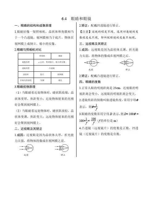 北师大版物理八年级下册第六章《6.4  眼睛和眼镜》基础知识