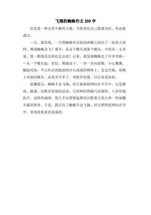 飞翔的蜘蛛作文200字