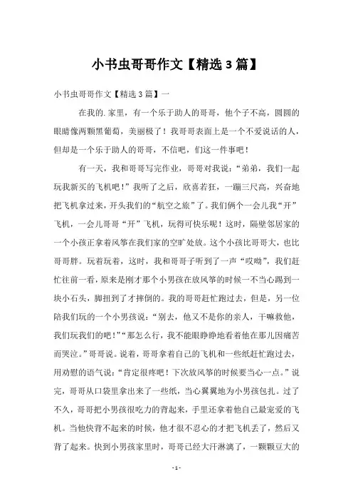 小书虫哥哥作文【3篇】