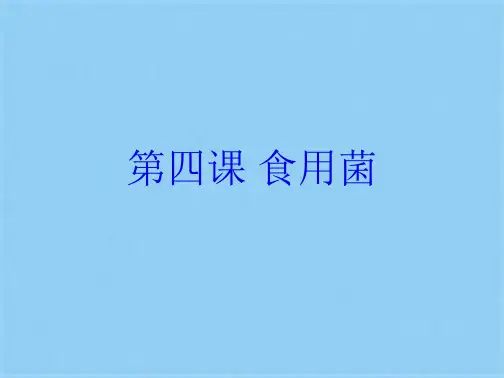 第四课 食用菌(共13张PPT)