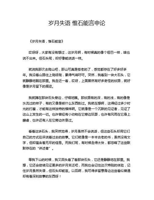 岁月失语 惟石能言申论