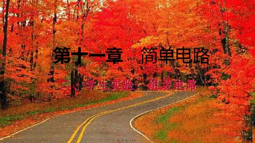 九年级物理全册11.2学生实验：组装电路2初中九年级全册物理