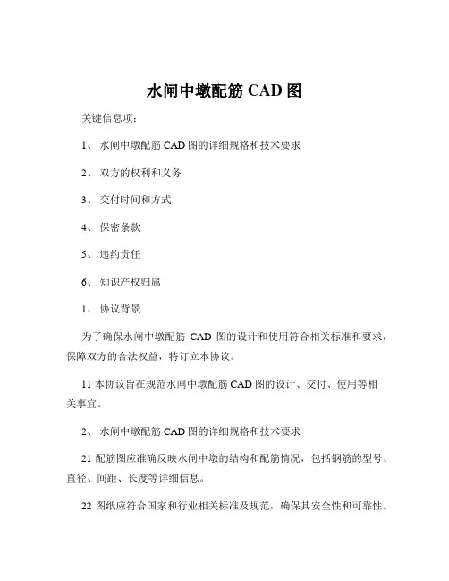 水闸中墩配筋CAD图