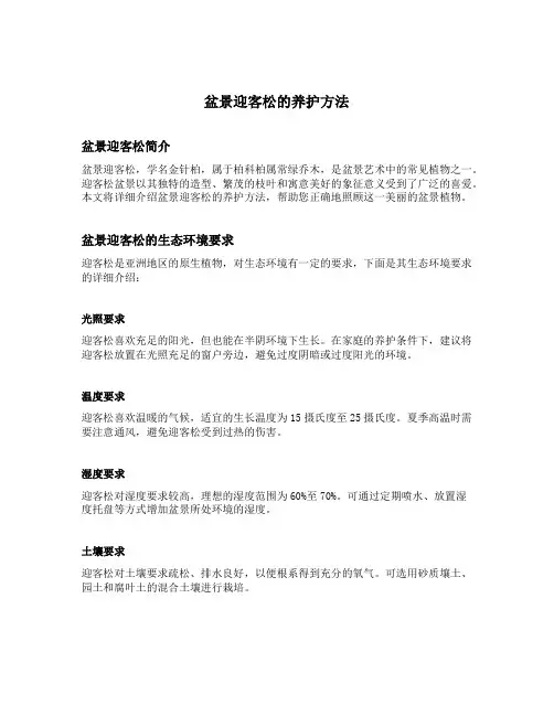 盆景迎客松的养护方法