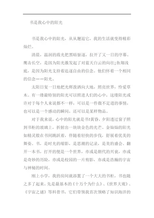 我心中的阳光作文