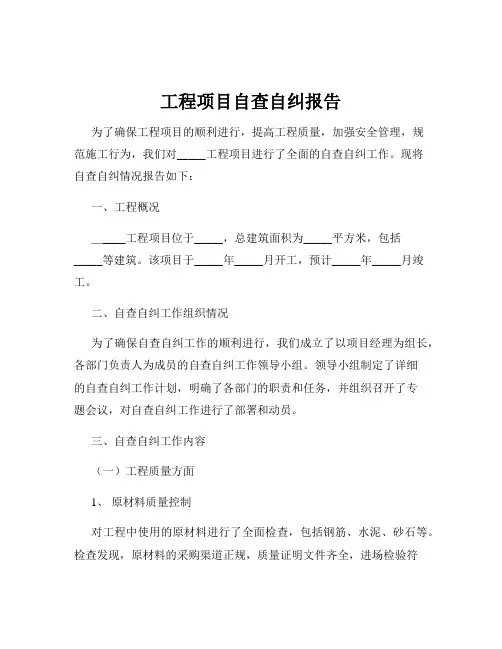工程项目自查自纠报告