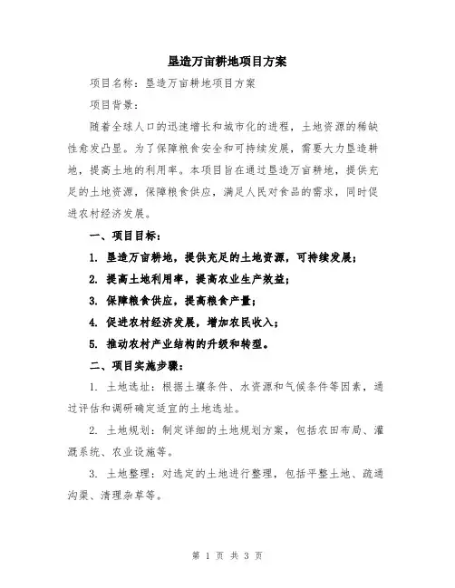 垦造万亩耕地项目方案