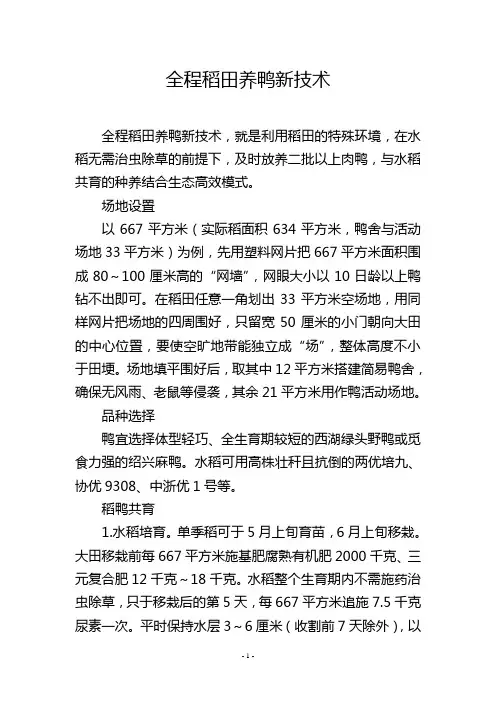 全程稻田养鸭新技术
