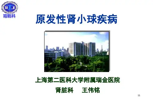 原发性肾小球疾病PPT课件