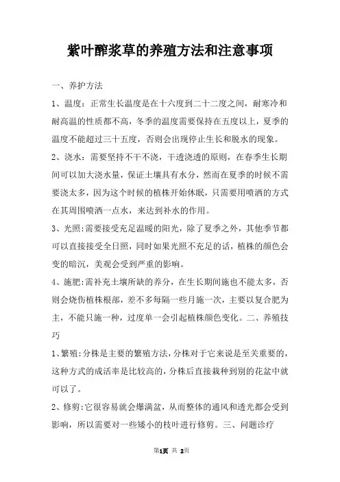紫叶醡浆草的养殖方法和注意事项 