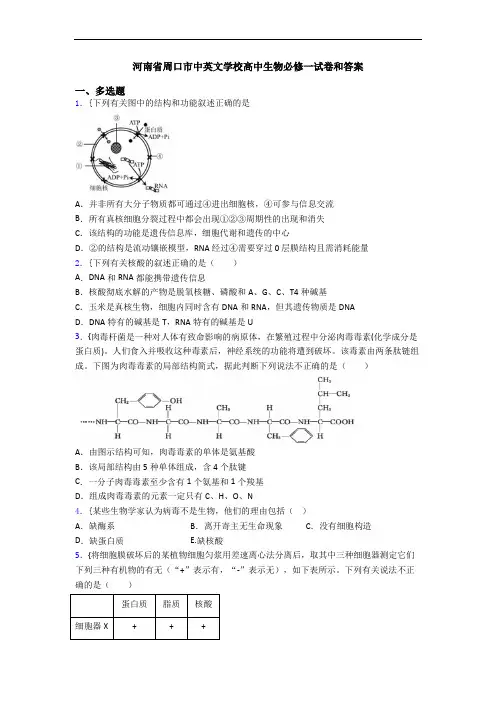 河南省周口市中英文学校高中生物必修一试卷和答案