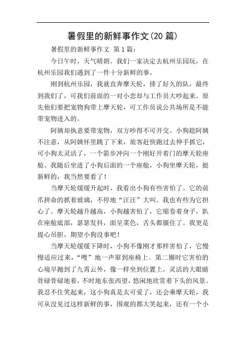 暑假里的新鲜事作文(20篇)
