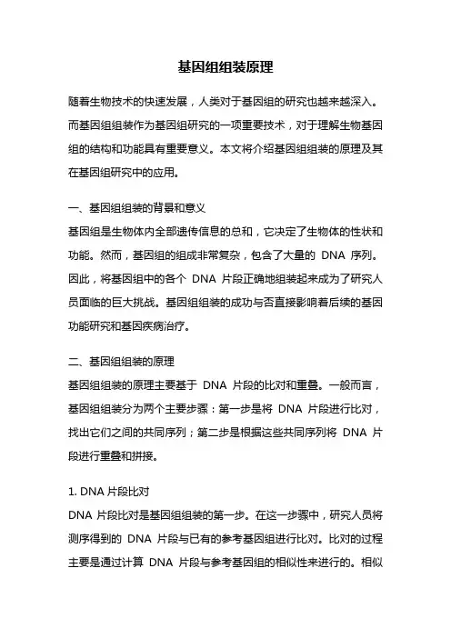 基因组组装原理