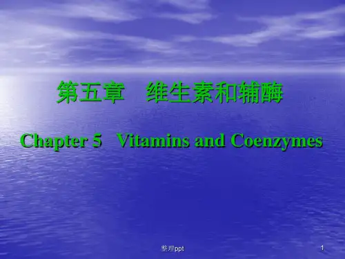 维生素和辅酶