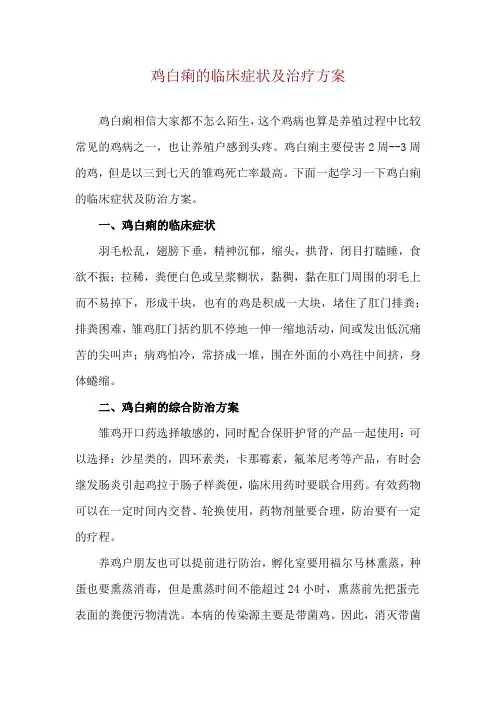 鸡白痢的临床症状及治疗方案