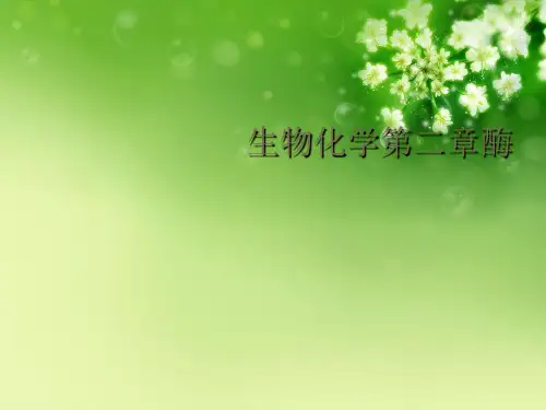生物化学第二章酶优秀课件