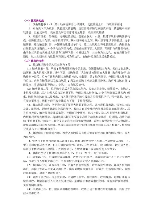局部解剖学上肢