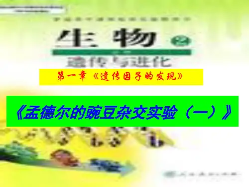 孟德尔豌豆杂交实验(一)PPT