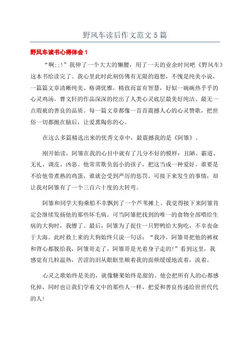 野风车读后作文范文5篇