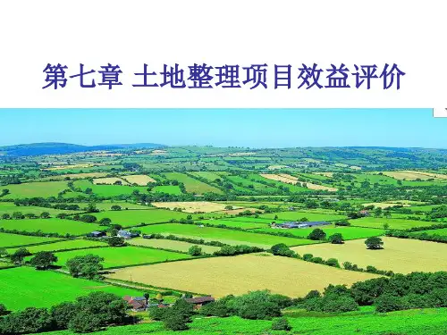 第七章 土地整理项目效益评价 秦