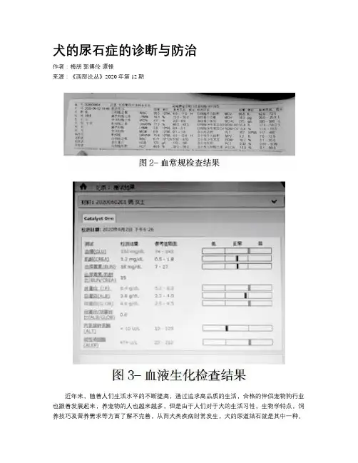 犬的尿石症的诊断与防治