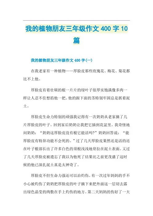 我的植物朋友三年级作文400字10篇