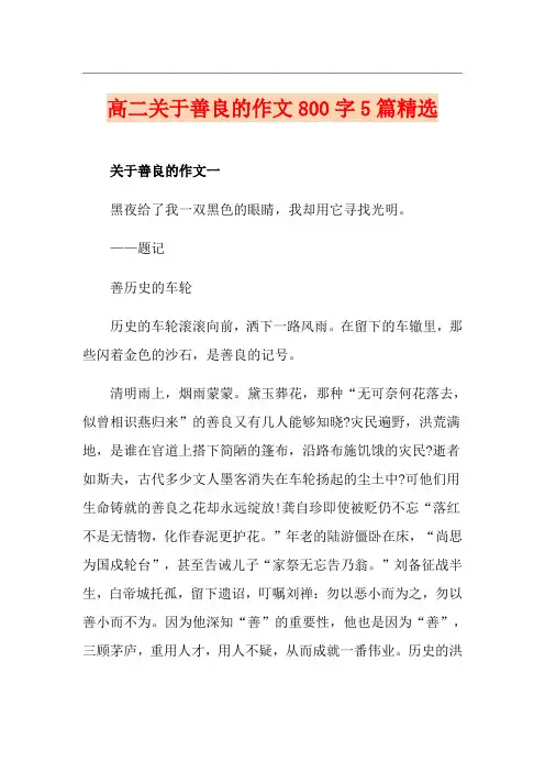 高二关于善良的作文800字5篇精选