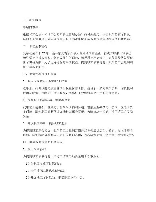 工会专项资金申请报告