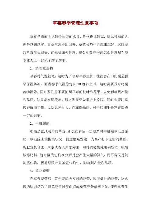 草莓春季管理注意事项