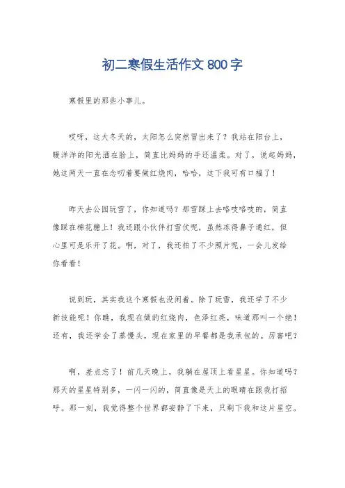 初二寒假生活作文800字