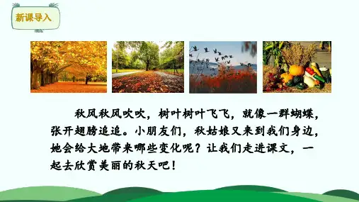 部编版小学语文一年级上册1 秋天 课件