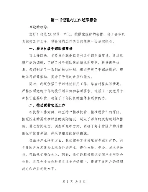 第一书记驻村工作述职报告