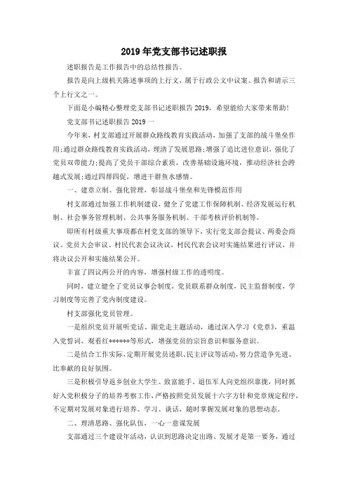推荐下载  2019年党支部书记述职报-最新