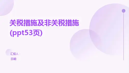 关税措施及非关税措施(ppt53页)