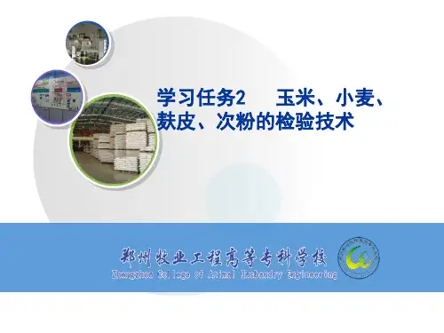 任务2 玉米、小麦、麸皮、次粉