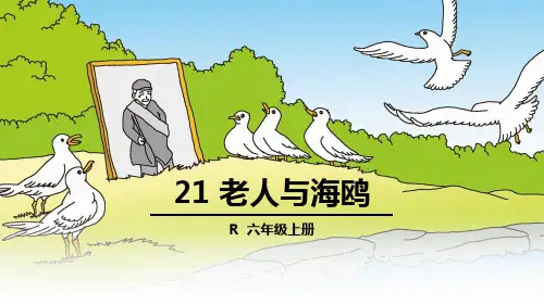 部编六年级上人教《21 老人与海鸥》霍智慧PPT课件 一等奖新名师优质课获奖比赛公开免费下载
