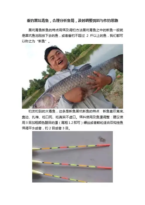 垂钓黑坑青鱼，合理分析鱼情，及时调整饵料与作钓思路