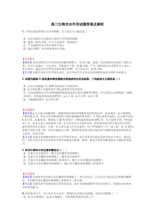 高三生物光合作用试题答案及解析

